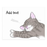 居眠りする灰色の子ネコ ポストカード