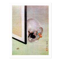 猫と蜘蛛, chat de 東皐 et araignée, Toko Cartes Postales