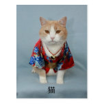 猫 CARTES POSTALES