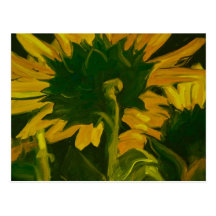 0010 derrière le tournesol cartes postales