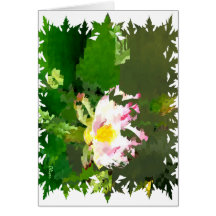011 floraux carte de vœux