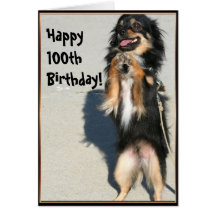100th carte de voeux heureuse de chiwawa d'anniver
