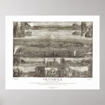 1903 Olympia, carte panoramique de vue d'oeil d'oi Posters