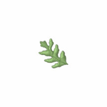 1" feuille de chêne