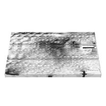 (20) "SAXAPHONE," retouchent Toile Tendue