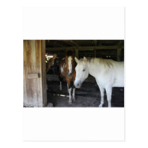 2 chevaux cartes postales