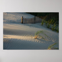 2èmes dunes de sable de plage posters