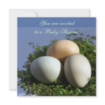 3 oeufs invitations