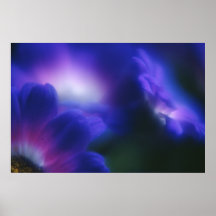 4464-2 POSTERS