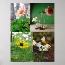 4 images de fleur, copie poster