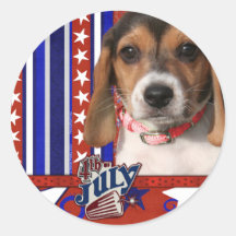 4 juillet pétard - chiot de beagle autocollants ronds