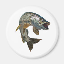 4 musqués magnets pour réfrigérateur
