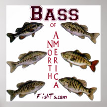 5Ft.Bass d'affiche de l'Amérique du Nord