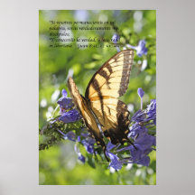 8h31 de Juan - 32 escroquent le machaon de tigre d Affiche