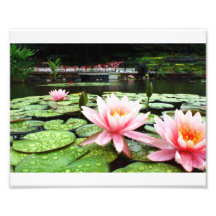 8x10 Lillies et gouttes de pluie Art Photographique