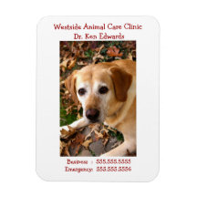 A012 aimant - Labrador dans le feuille d'automne Magnets