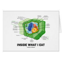 À l'intérieur de ce que je mange (l'humour végétar cartes