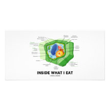 À l'intérieur de ce que je mange (l'humour végétar modèle pour photocarte