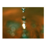 A water with marroon cartes postales