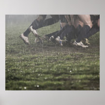 Abaissez la section du joueur de rugby dans la bou posters
