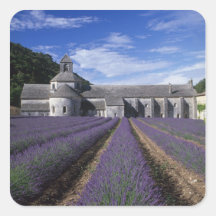 Abbaye de Senanque, Gordes, Vaucluse, Provence, Stickers Carrés