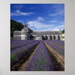 Abbaye de Senanque, Gordes, Vaucluse, Provence, Posters