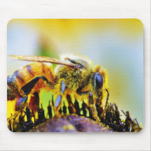 Abeille au champ de foire de Del Mar Tapis De Souris