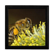 Abeille au travail boîtes à babioles