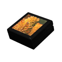 Abeille Boîtes À Souvenirs
