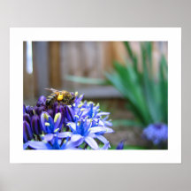 Abeille chargée affiche