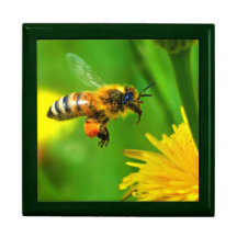 Abeille de miel boîtes à bijoux