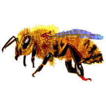 Abeille de miel photo sculpture