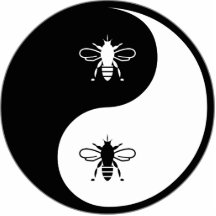 Abeille de Yin Yang Photo Sculpture
