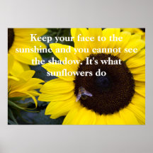 Abeille en tournesol quels tournesols font poster