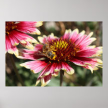 "Abeille" mon miel Posters