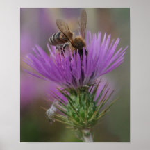 Abeille Posters
