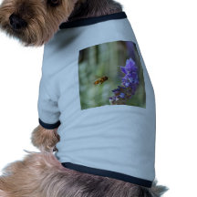 Abeille sur la lavande vêtement pour chien