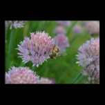 Abeille sur une fleur posters