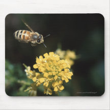 abeille tapis de souris