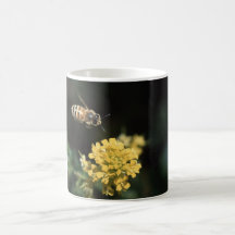 abeille tasses