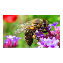 Abeilles à vendre cartes de visite personnelles