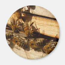 Abeilles de miel aimants pour réfrigérateur