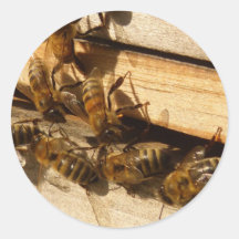 Abeilles de miel autocollant rond