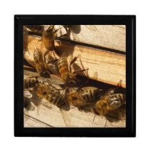 Abeilles de miel boîte à souvenirs