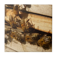 Abeilles de miel carreaux en céramique