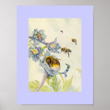 Abeilles de miel de nature et fleurs de gloire de  posters