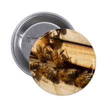Abeilles de miel pin's avec agrafe