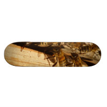 Abeilles de miel planches à roulettes