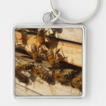 Abeilles de miel porte-clés