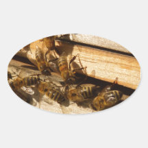 Abeilles de miel stickers ovales